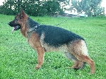 Barone di Aurelius Victor