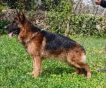 Athos del Ceresio