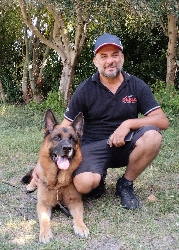 Ciento dei Rossomori