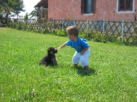 (Clicca per ingrandire) (Clicca per ingrandire)