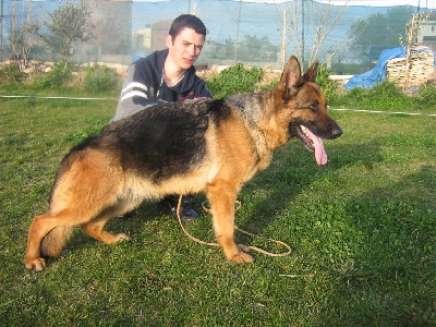 Ruska(Rossomori) (Clicca per ingrandire) Ruska(Rossomori) (Clicca per ingrandire)