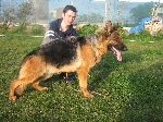 Ruska(Rossomori) Ruska(Rossomori)