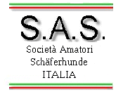 S.A.S. Italia