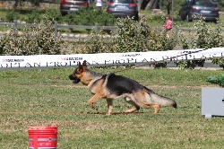 Red dei Rossomori