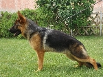 Ermes dei Rossomori Ermes dei Rossomori