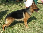Karla dei Rossomori Karla dei Rossomori