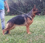 YABELLE dei Rossomori